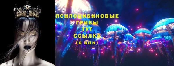 PSILOCYBIN Абинск