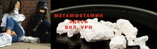 ПСИЛОЦИБИНОВЫЕ ГРИБЫ Горняк